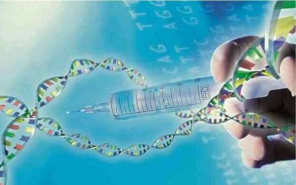 最新研究：自闭症基因突变的原因与ADNP