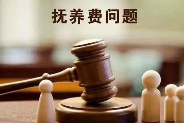 湖州自闭症儿童的父亲拒付抚养费，法院成功调解