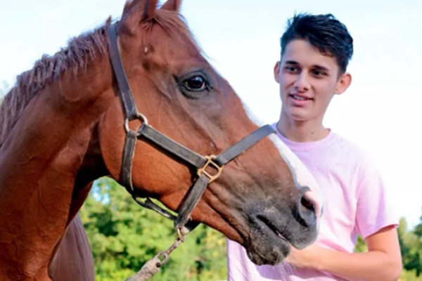 英国18岁自闭症男孩与赛马成为朋友